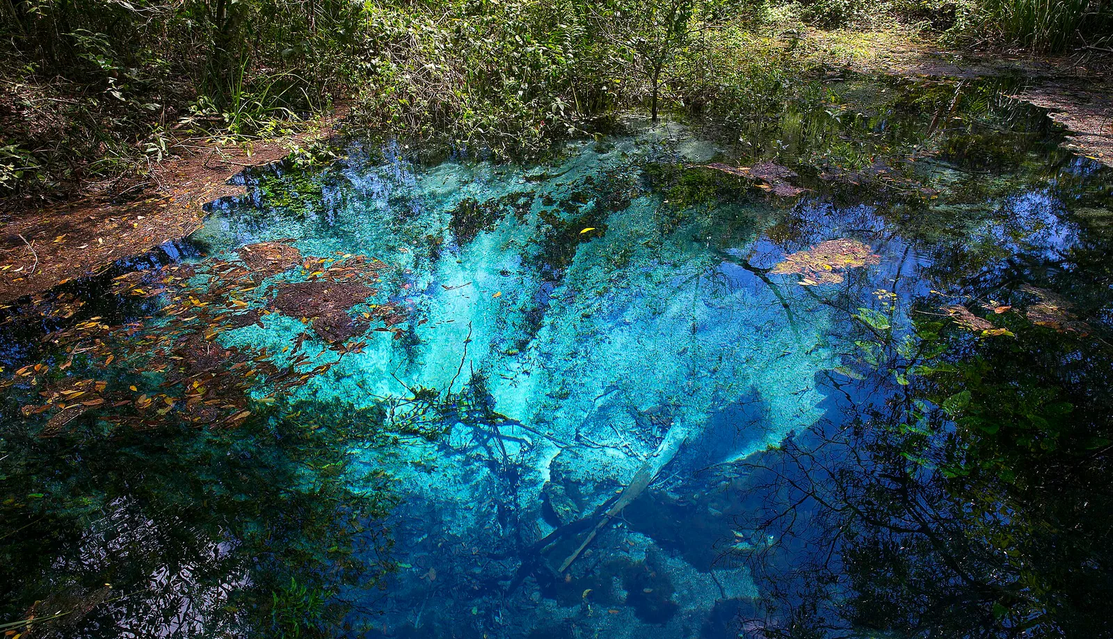 Rio de água cristalina em Bonito, Mato Grosso do Sul
